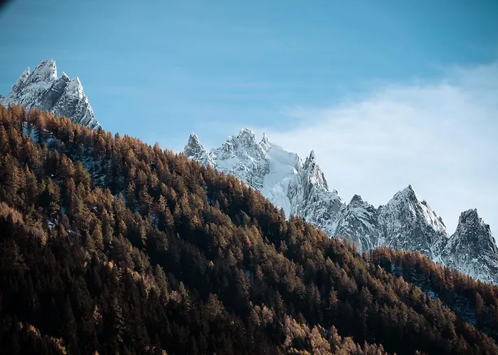 Mont Plaisir - Au Pied Des Drus 霞慕尼