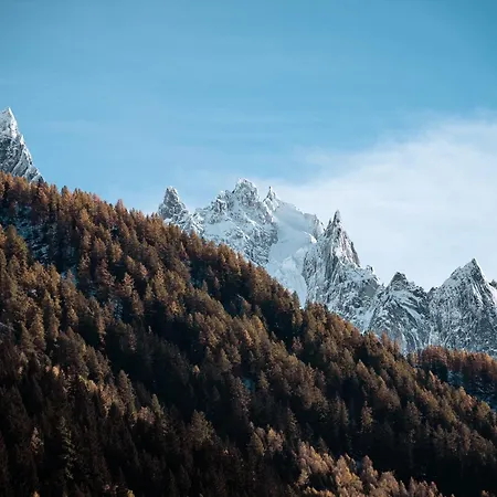 Mont Plaisir - Au Pied Des Drus Шамони