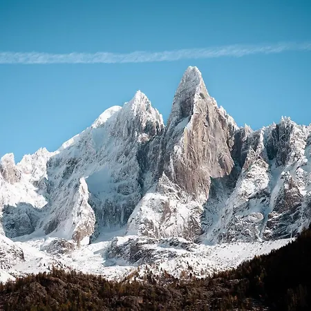 Mont Plaisir - Au Pied Des Drus Шале *